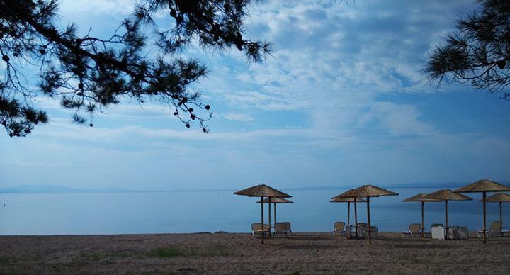 Olea Mare Apartment Kalyves Polygyrou Bagian luar foto